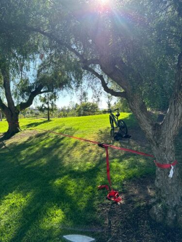 Summit eBike | Velotric photo review