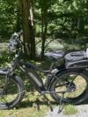 D3 Cruiser eBike | Himiway