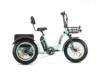 Triketan II M-330 eTrike