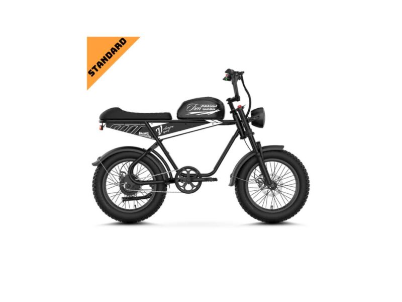 V1 Velo Moped