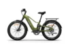 Himiway D5 2.0 eBike